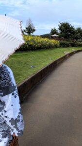 白い日傘とひまわり畑が続く緑の芝生沿いの遊歩道の風景